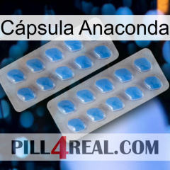 Cápsula Anaconda 23